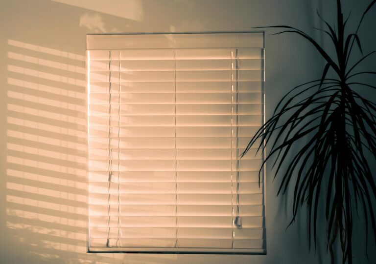 Blinds and Shades in Belmont